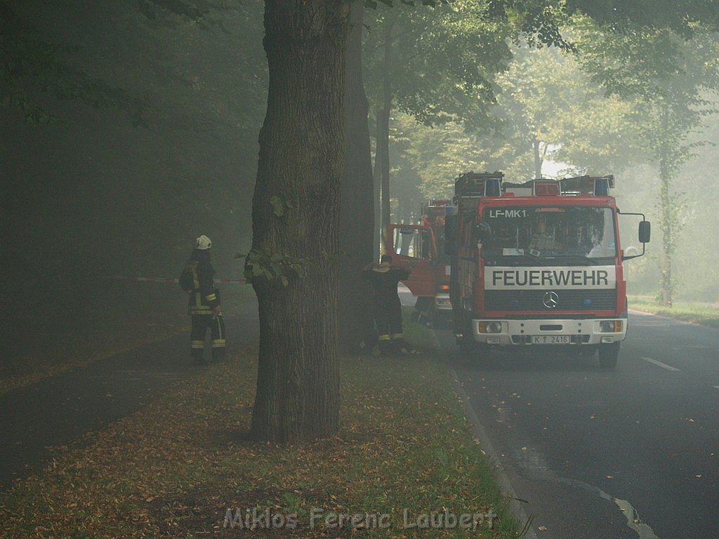 Brand Schuetzenhof Neusser Landstr P5315.JPG